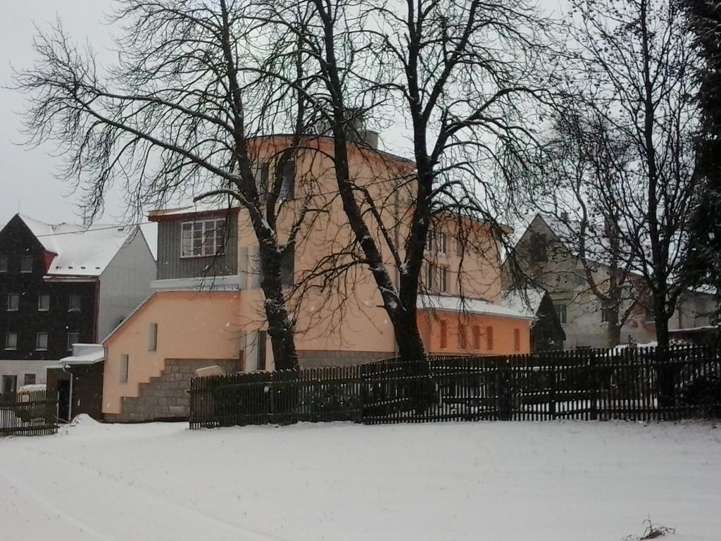 Penzion Vila Victoria Abertamy Kültér fotó